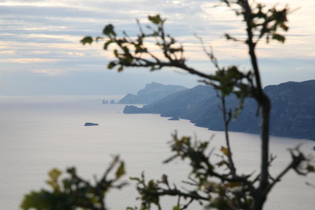 Agriturismo Mare E Monti อาเจโรลา ภายนอก รูปภาพ